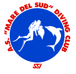 MdS_logo.gif (8608 byte)