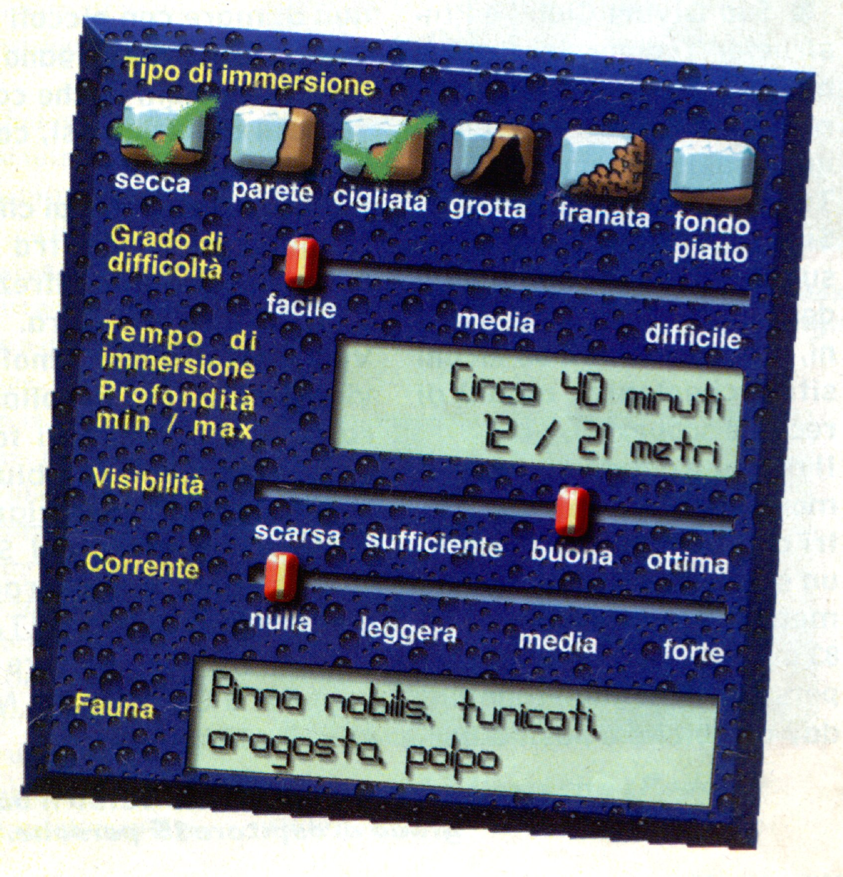 f3.jpg (710985 byte)