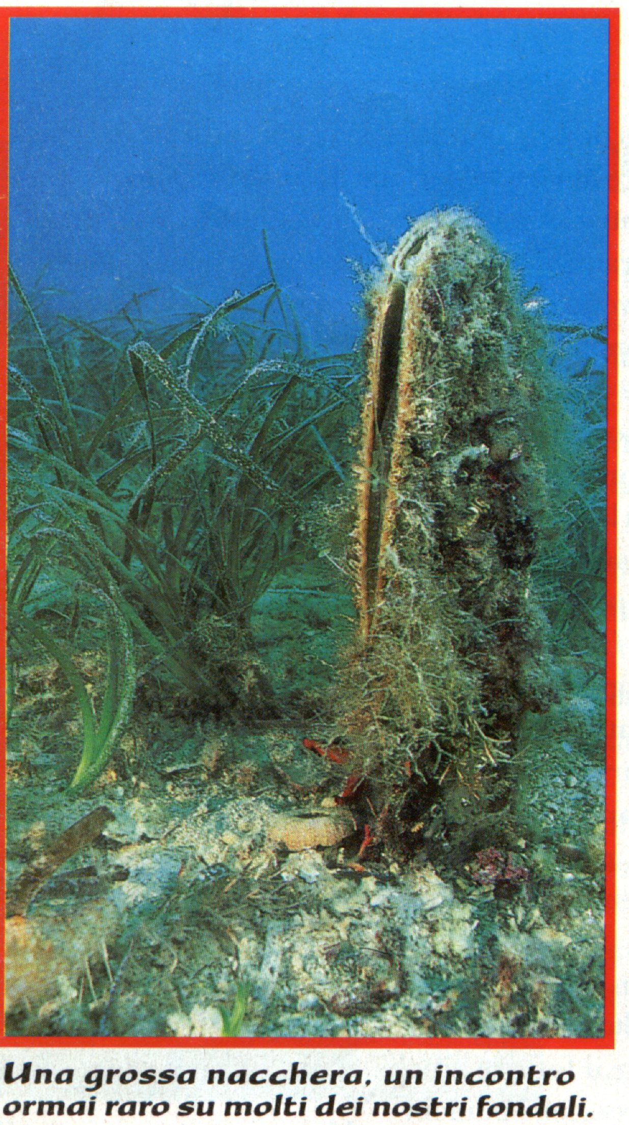 f6.jpg (651689 byte)